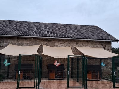 PENSION CANINE  image