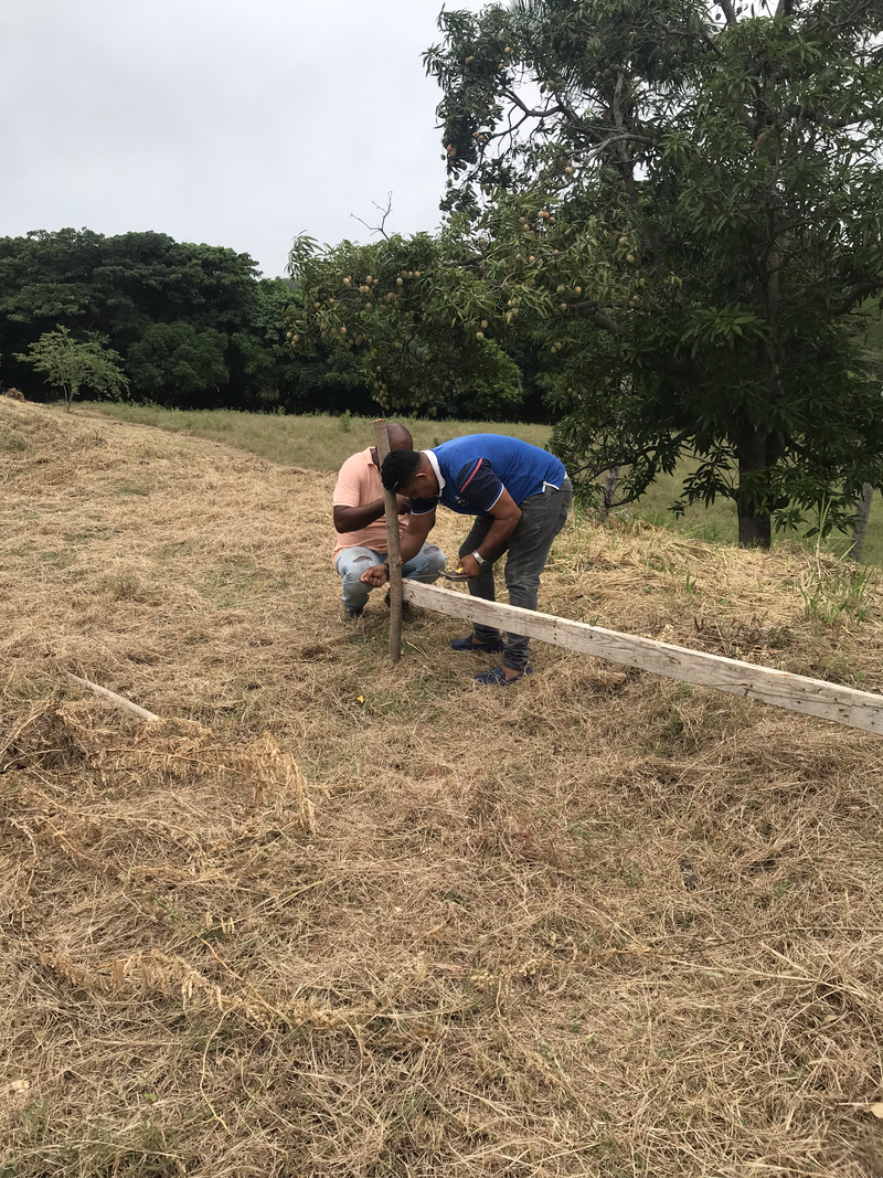 Yaguate - San Cristobal