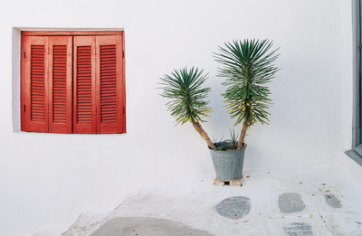 מדריך שכונת הפלאקה - שכונת האלים!