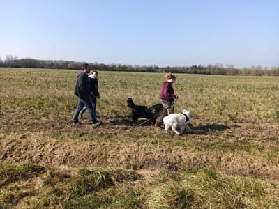 BP Educateur comportementaliste canin, félin et lapin