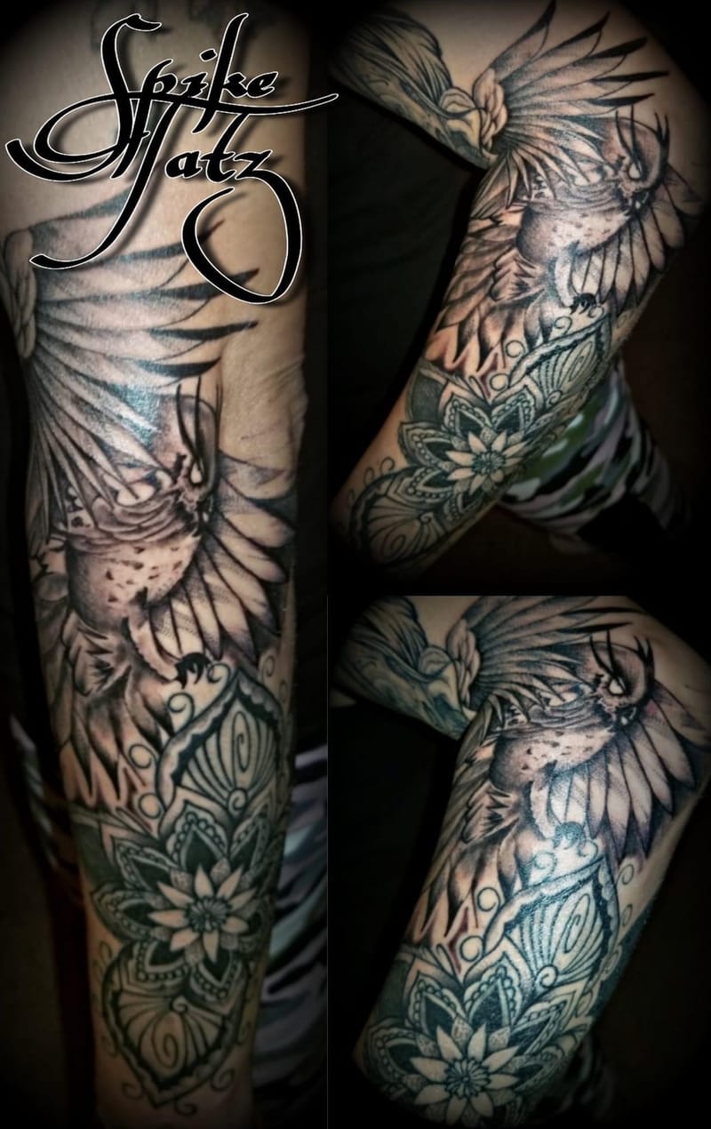  Artist, Creator and Mentor 