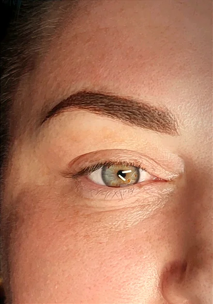 OMBRE |  POWDER BROWS