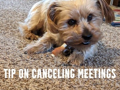 Canceling a meeting?