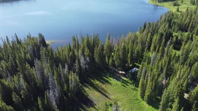 Investing "real" time with your chlidren