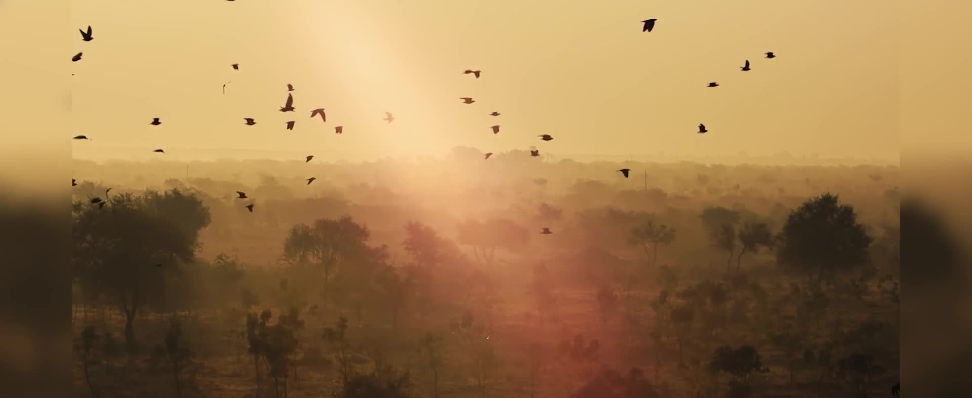 INDIA... COLORS AND EMOTIONS video thumbnail