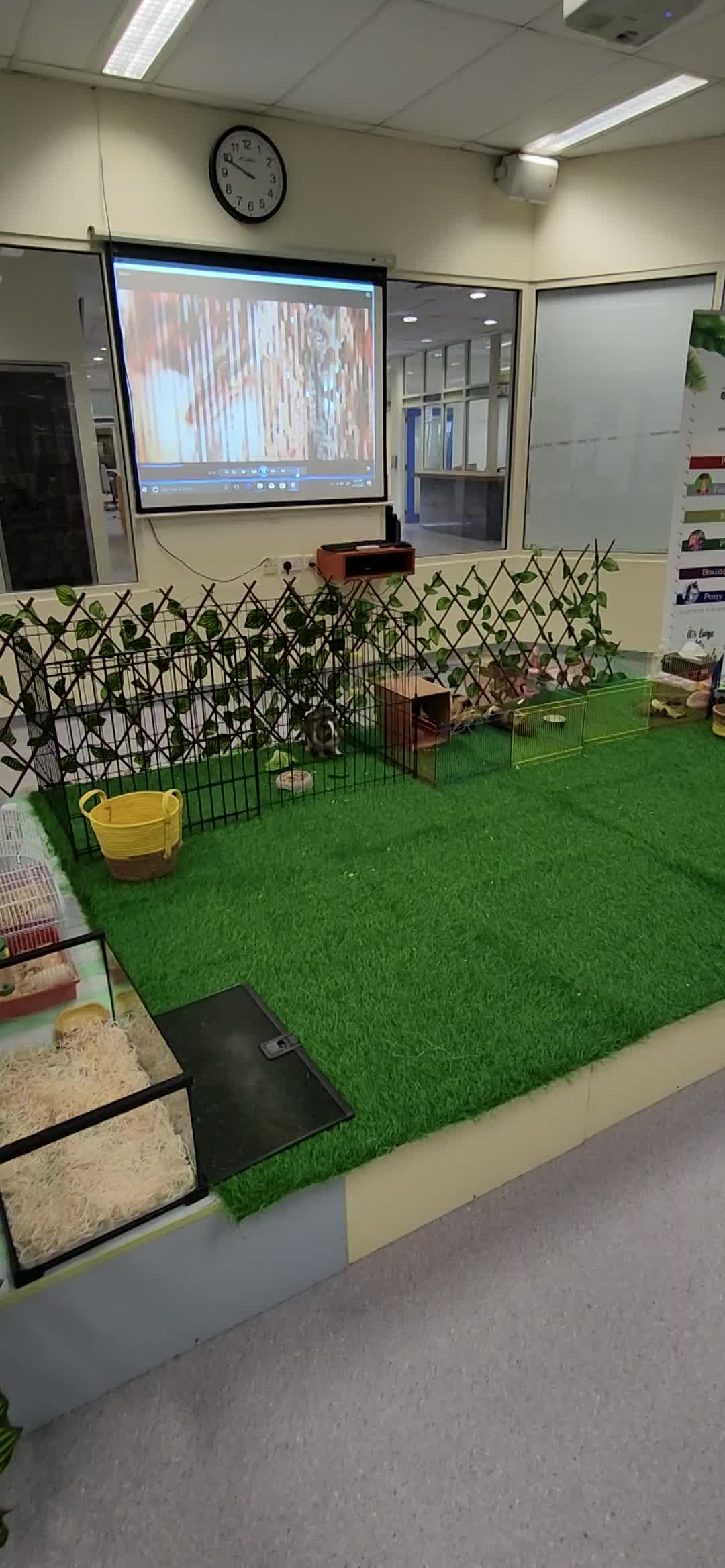 Victoria International School Sharjah.