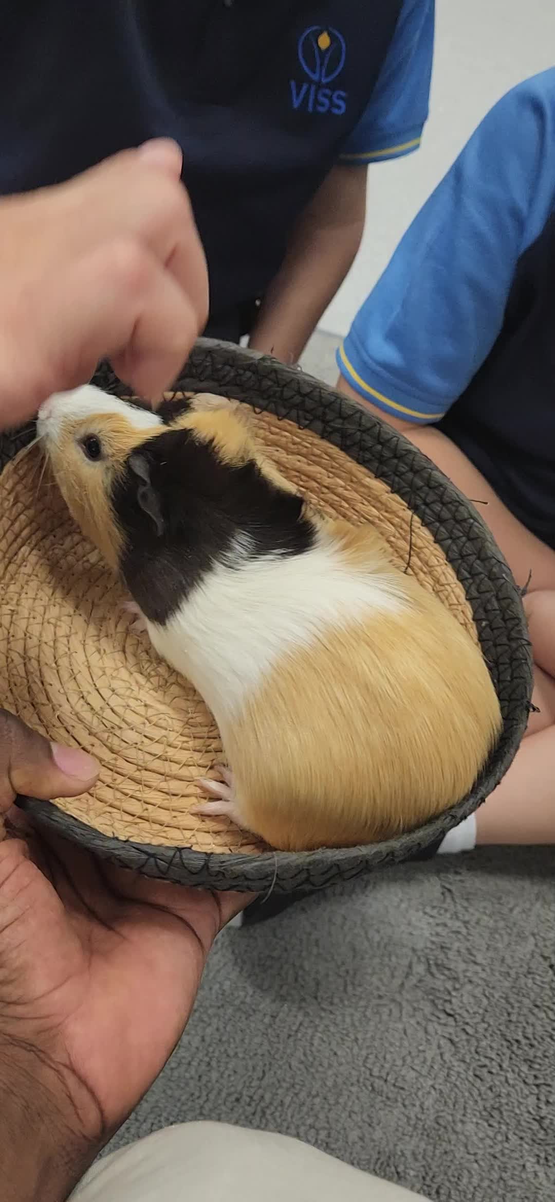 Victoria International School Sharjah.