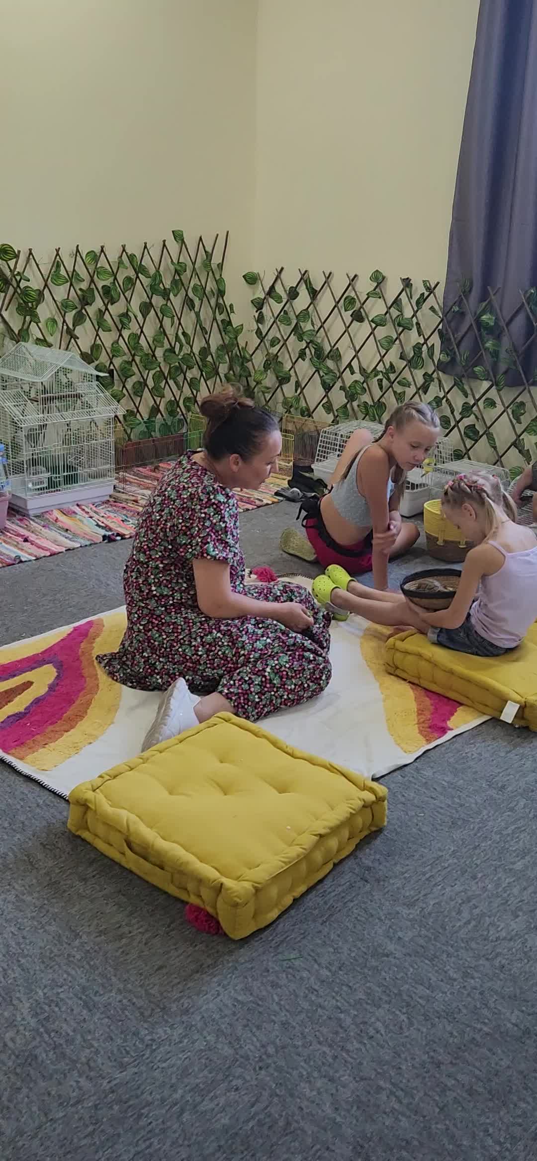  (Indoor & Outdoor Petting Zoo)