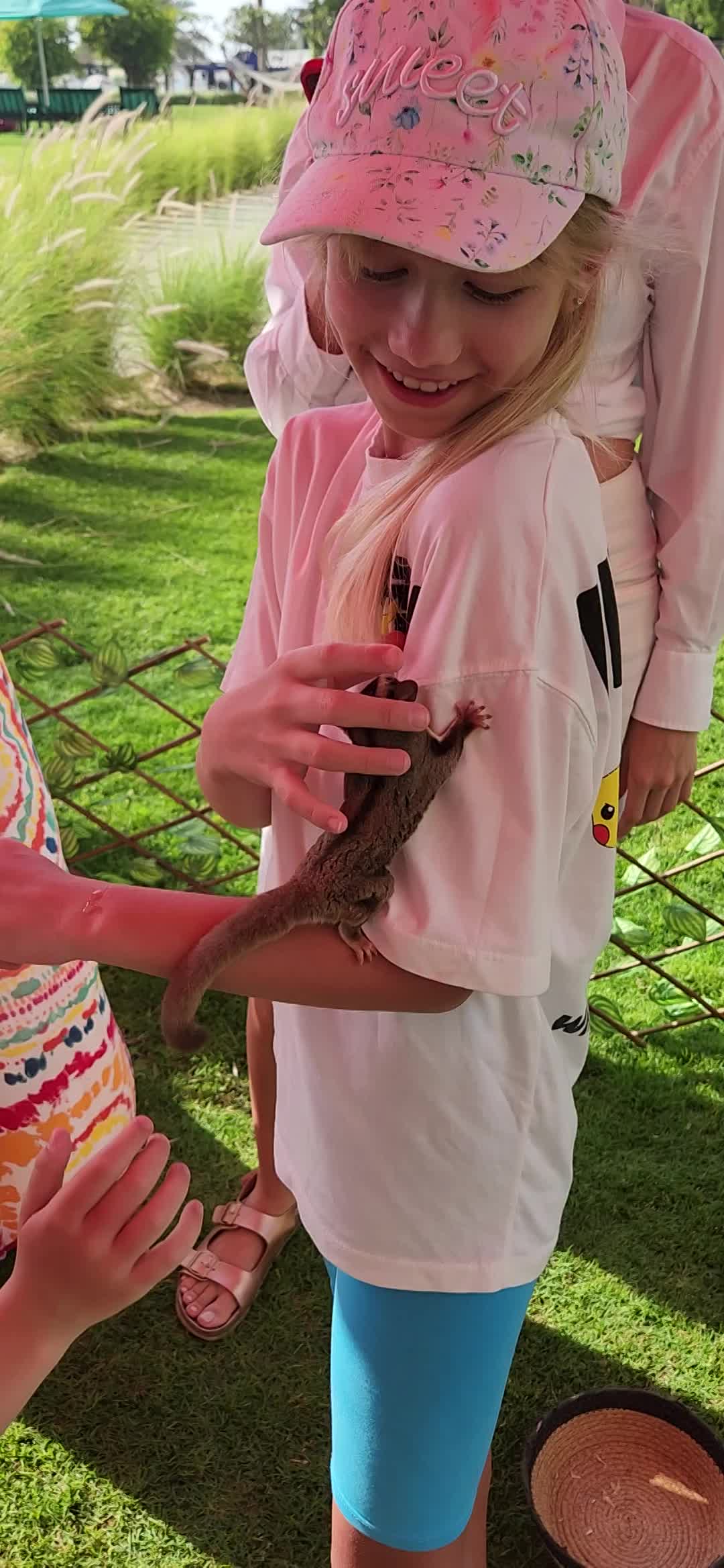  (Indoor & Outdoor Petting Zoo)