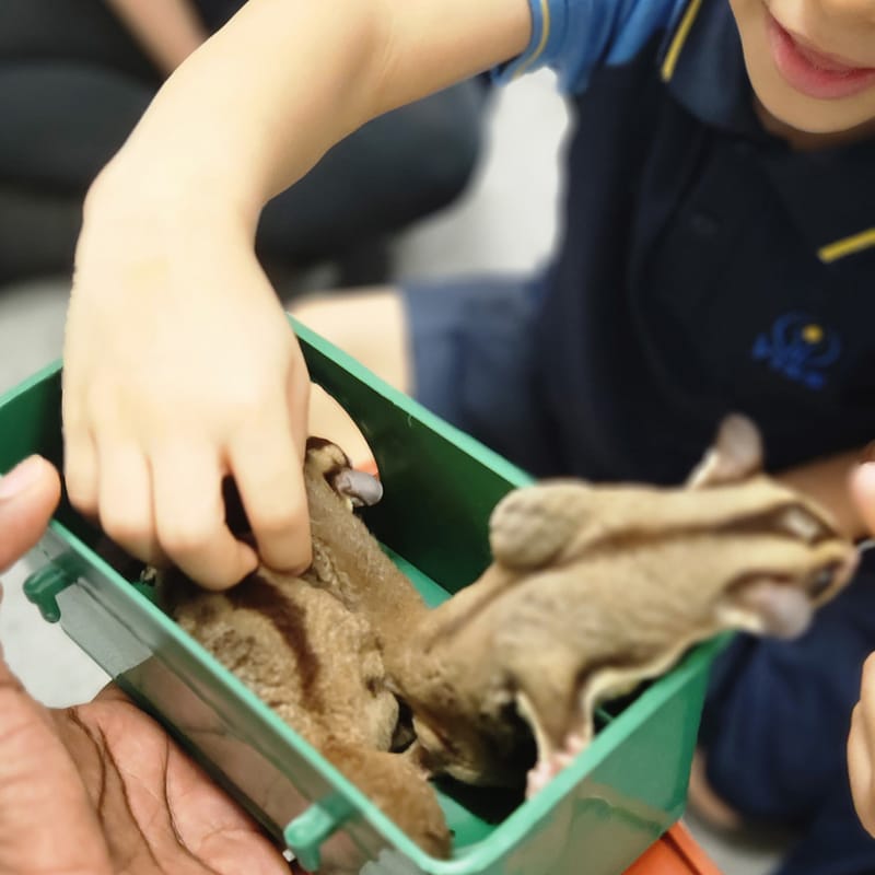 Victoria International School Sharjah.