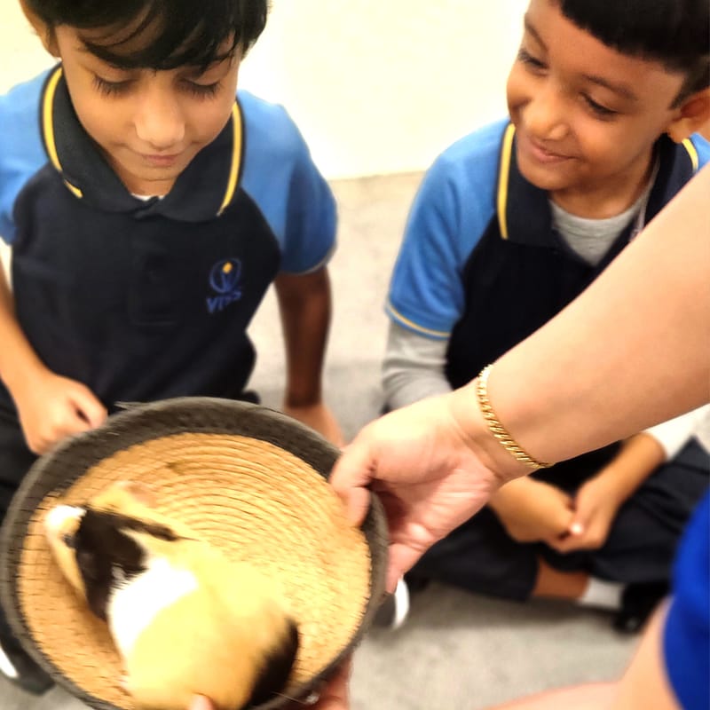 Victoria International School Sharjah.