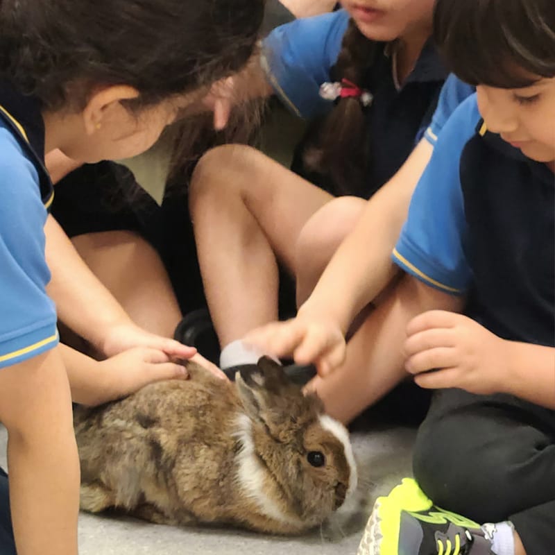 Victoria International School Sharjah.