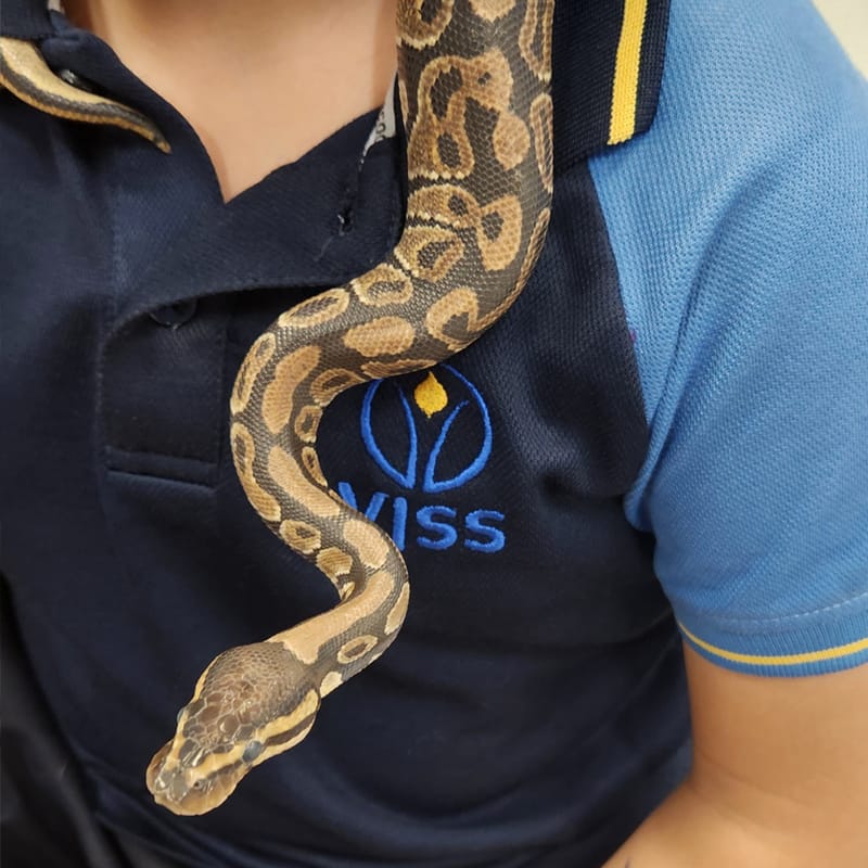 Victoria International School Sharjah.