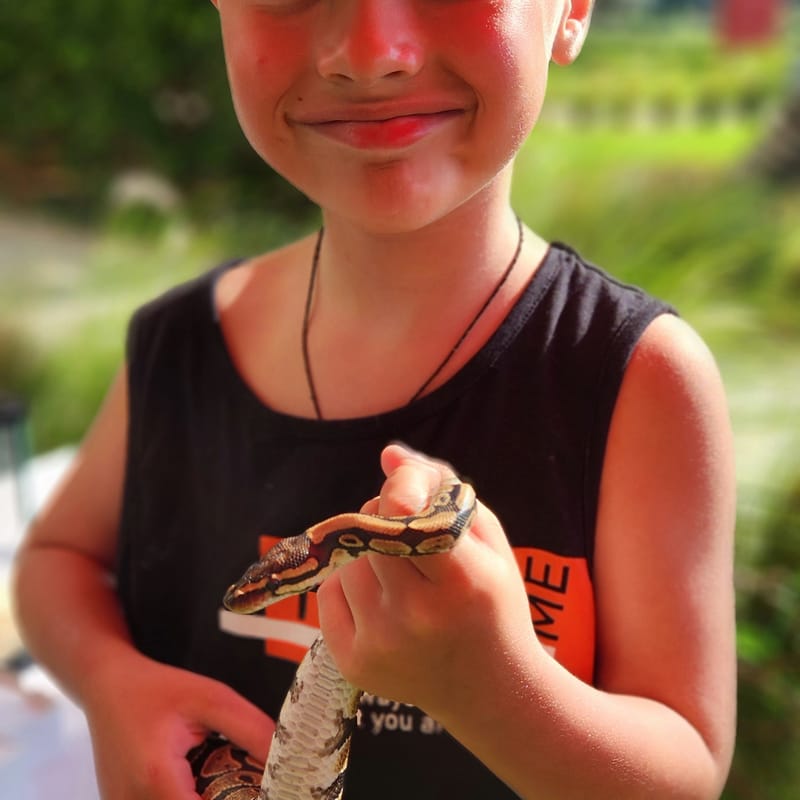  (Indoor & Outdoor Petting Zoo)