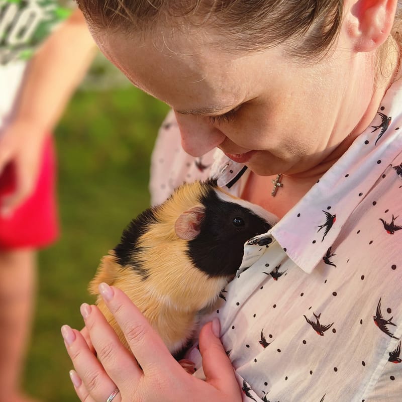  (Indoor & Outdoor Petting Zoo)