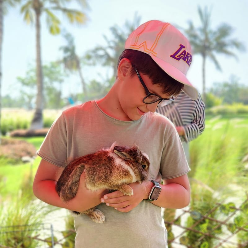  (Indoor & Outdoor Petting Zoo)