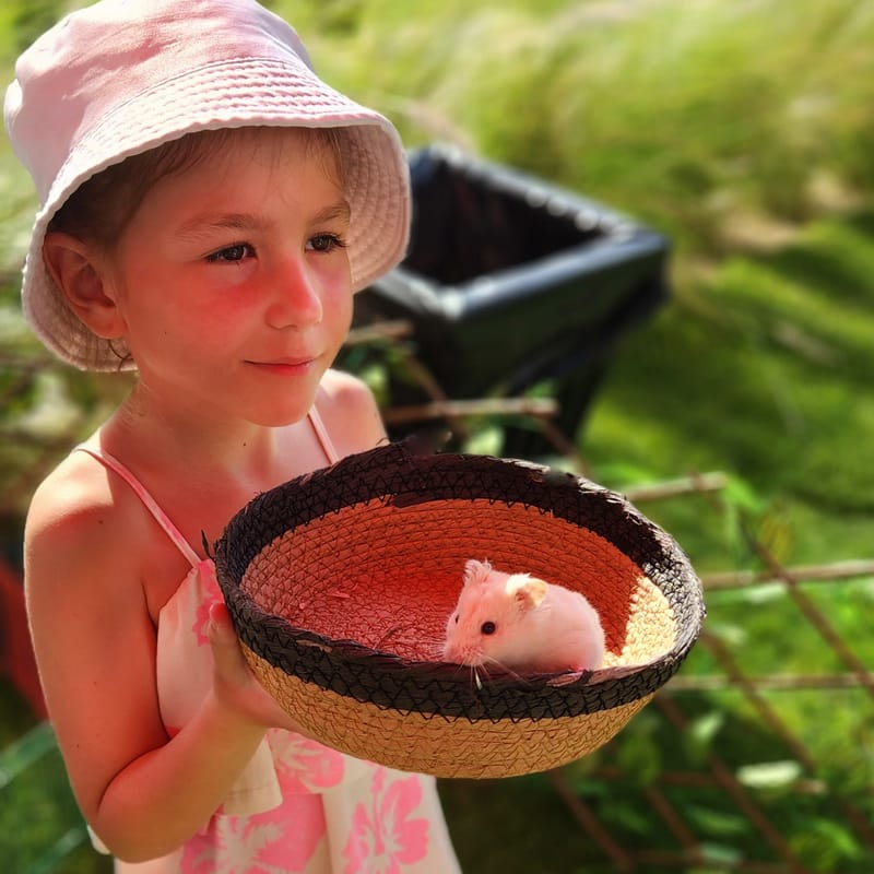  (Indoor & Outdoor Petting Zoo)