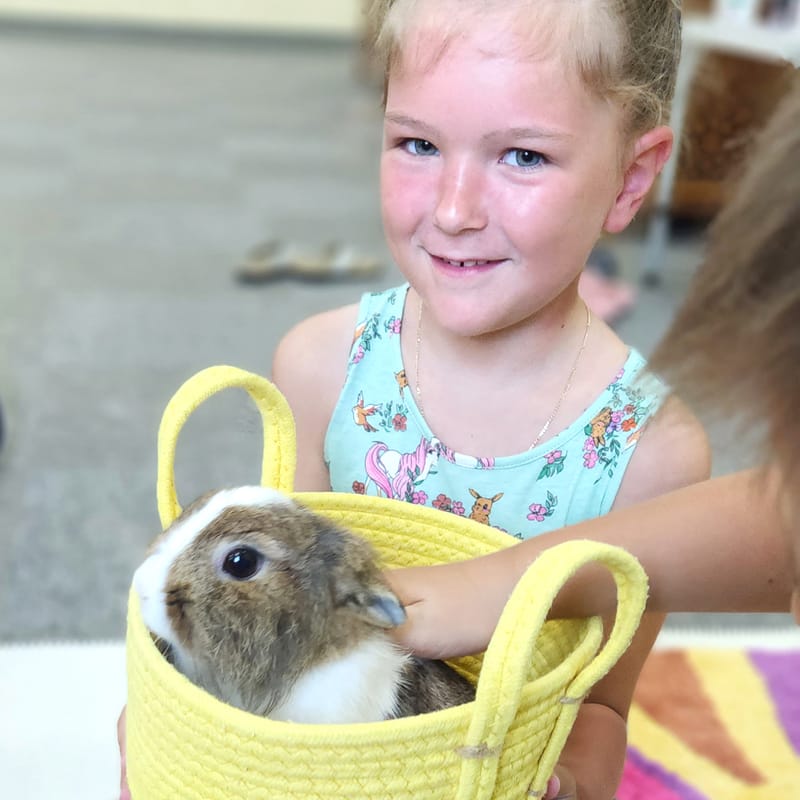  (Indoor & Outdoor Petting Zoo)