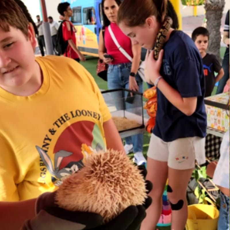 Family Fall Festival