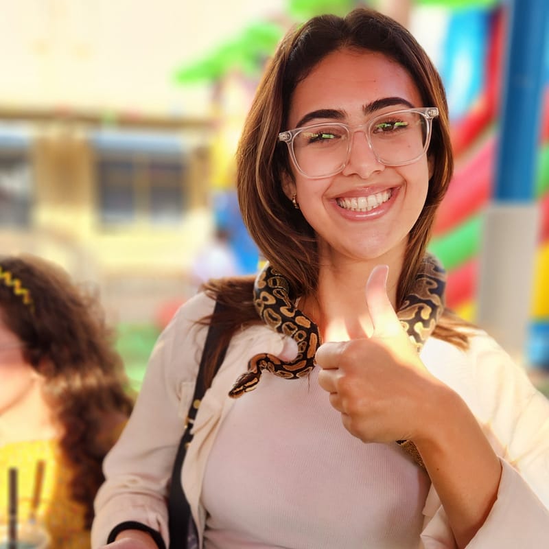 Family Fall Festival