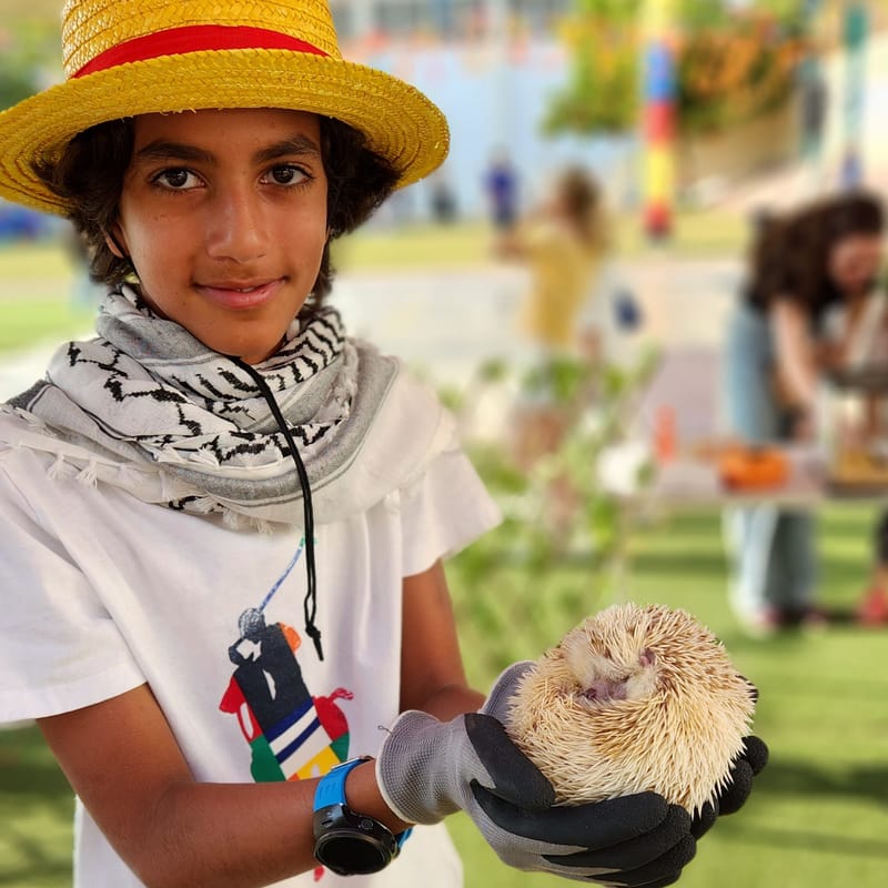 Family Fall Festival