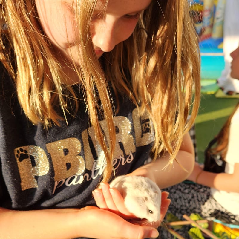 Family Fall Festival