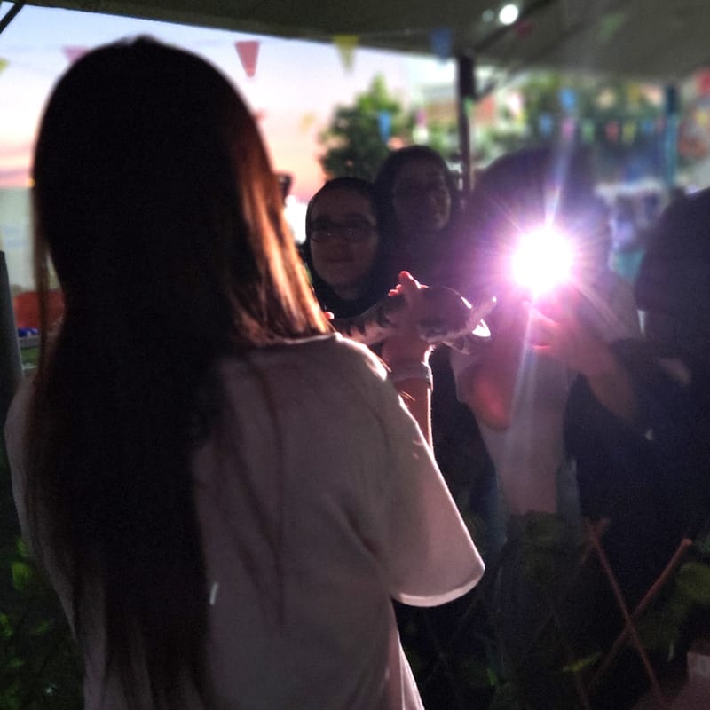 Family Fall Festival