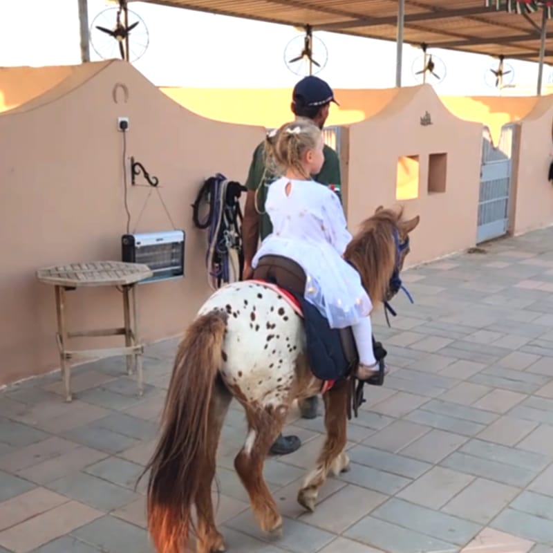 At Al Jazeerah Equestrian Club