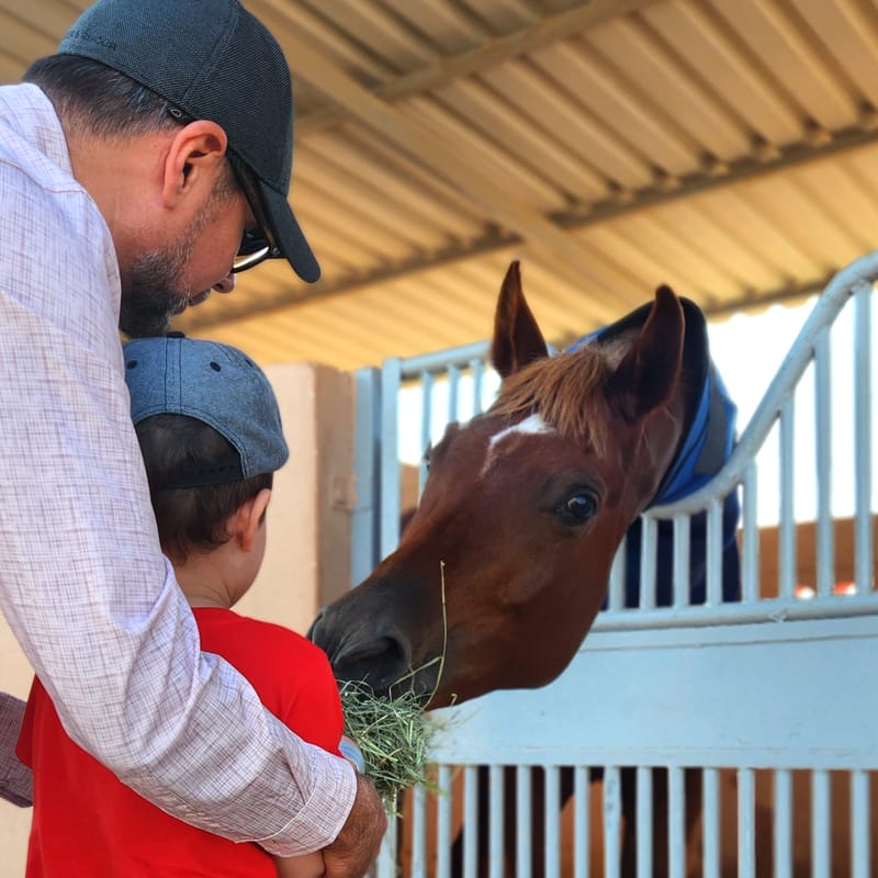 At Al Jazeerah Equestrian Club