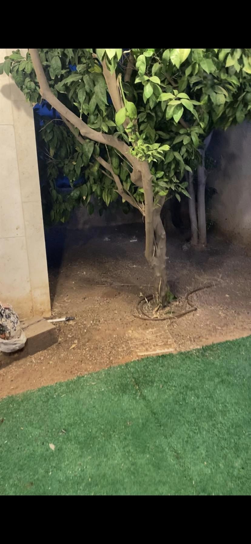 ביצוע עבודה