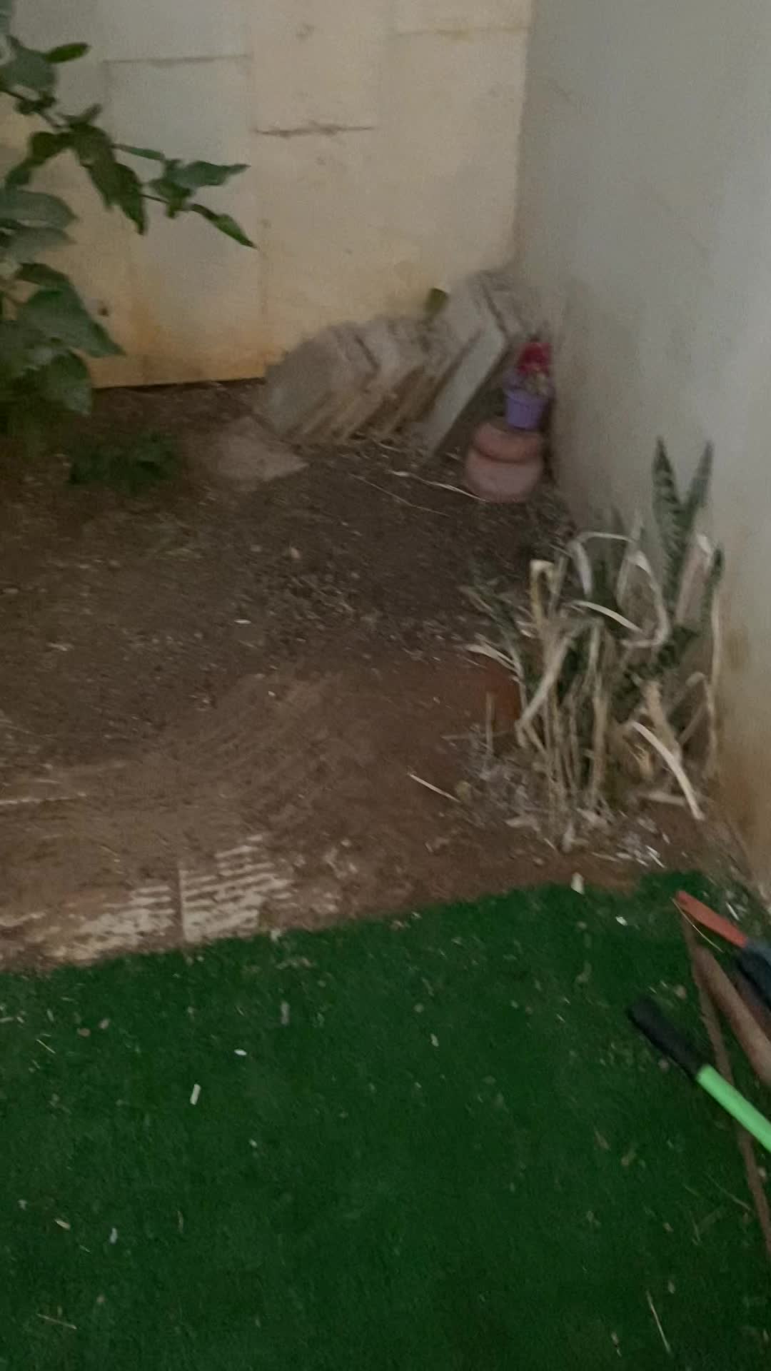 ביצוע עבודה