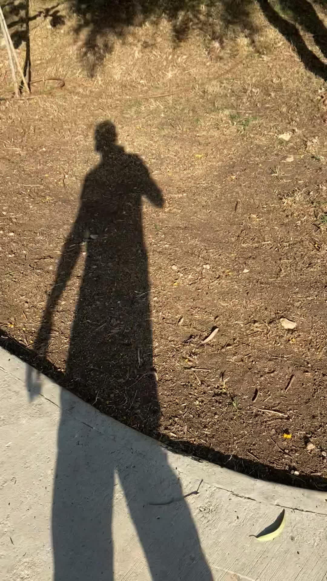 ביצוע עבודה