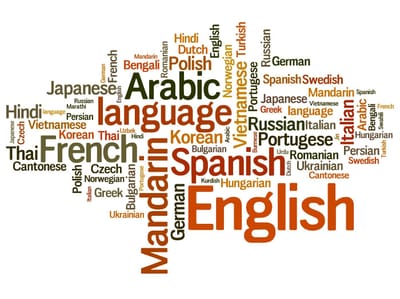 LANGUAGE PROFICIENCY image