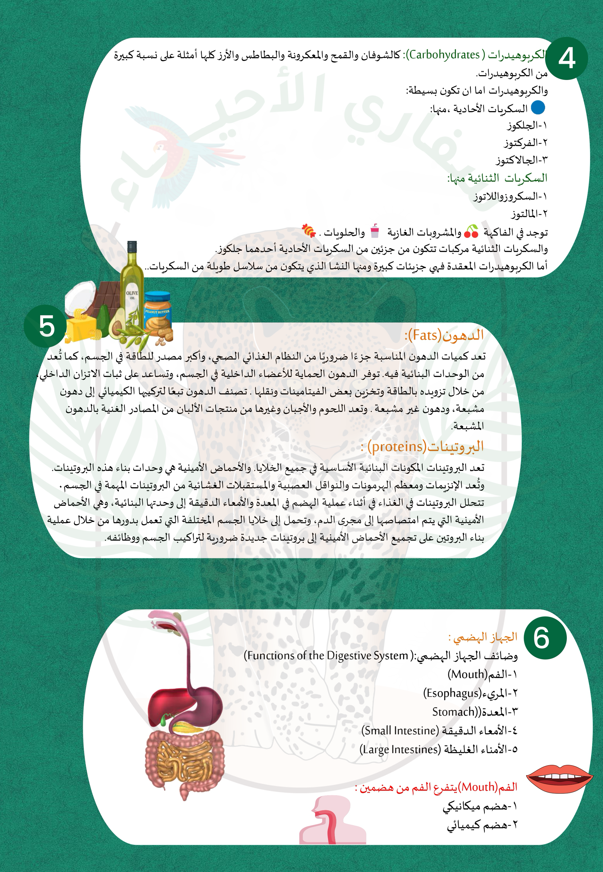صفحة 2