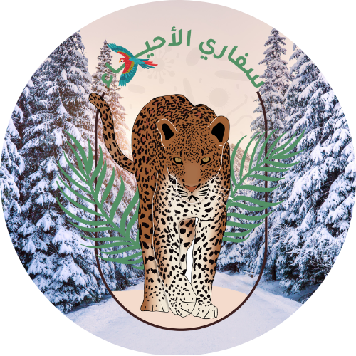 الشتاء