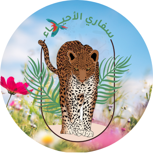 الربيع