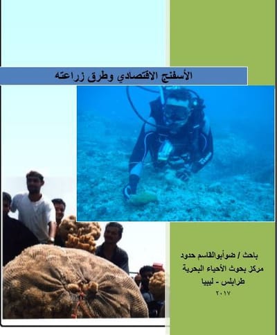 الإسفنج الاقتصادي وطرق زراعتهِ…للباحث:ضو حدود