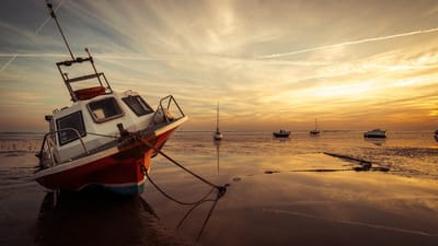 سرعة الرياح