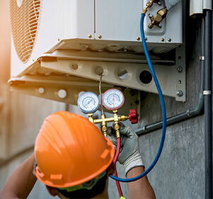 حول الشركة image