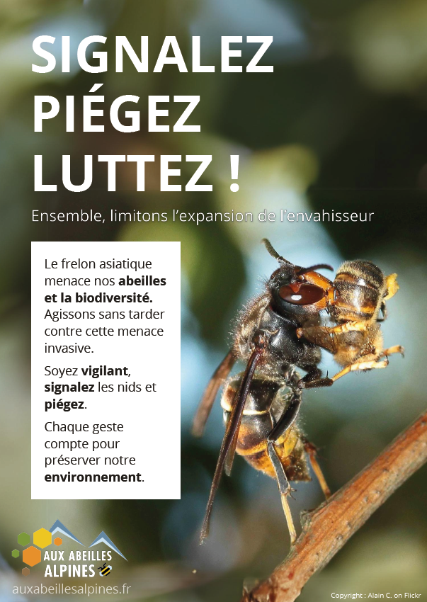 Sensibilisation à la lutte contre le frelon asiatique