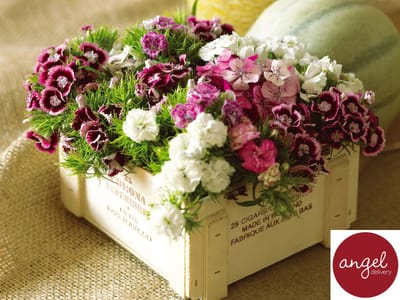 How to Personalize Gift Hamper with Handpicked Flowers?