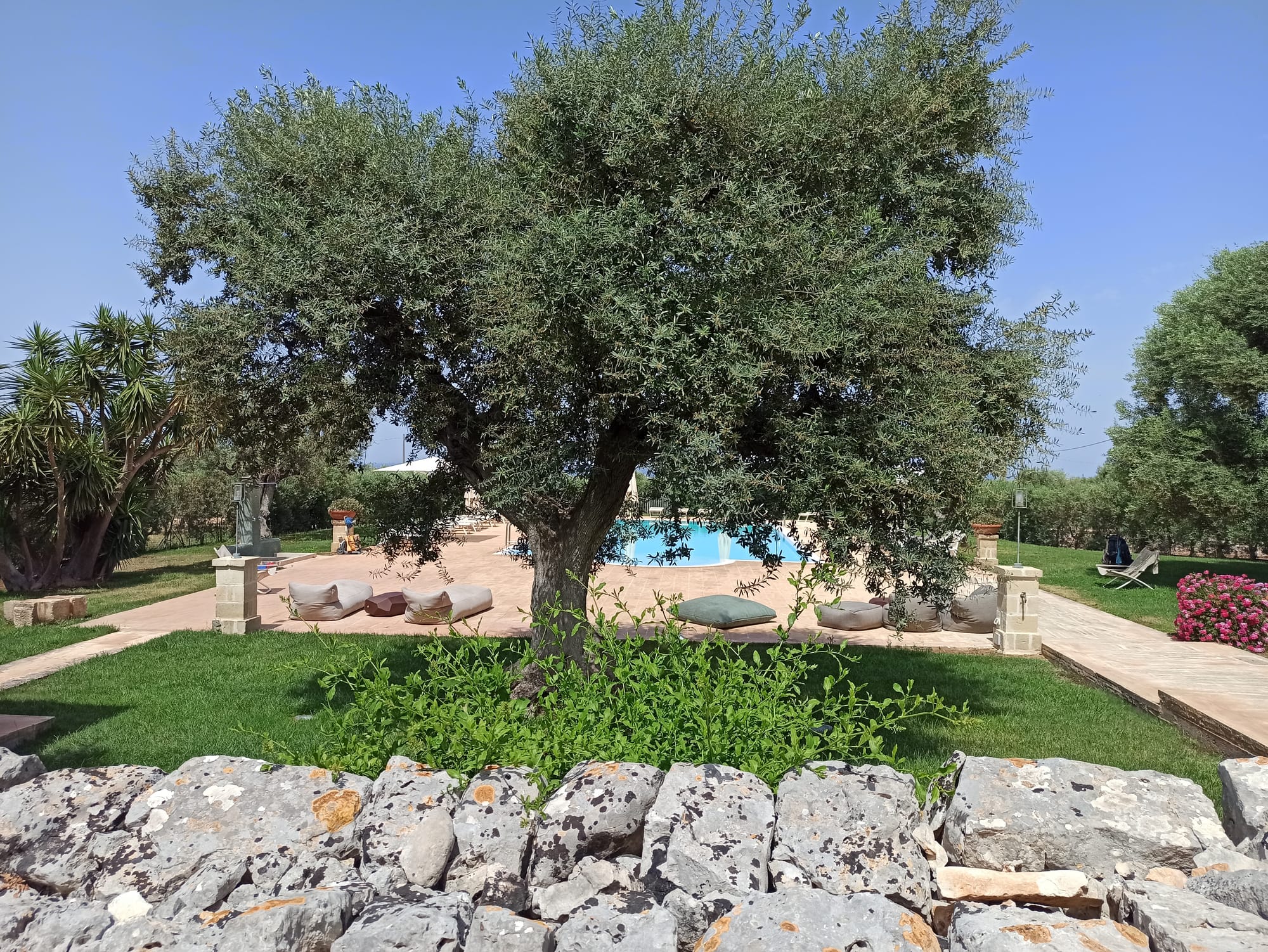 Masseria Salamina is at Pezze di Greco close to Fasano, Italy.