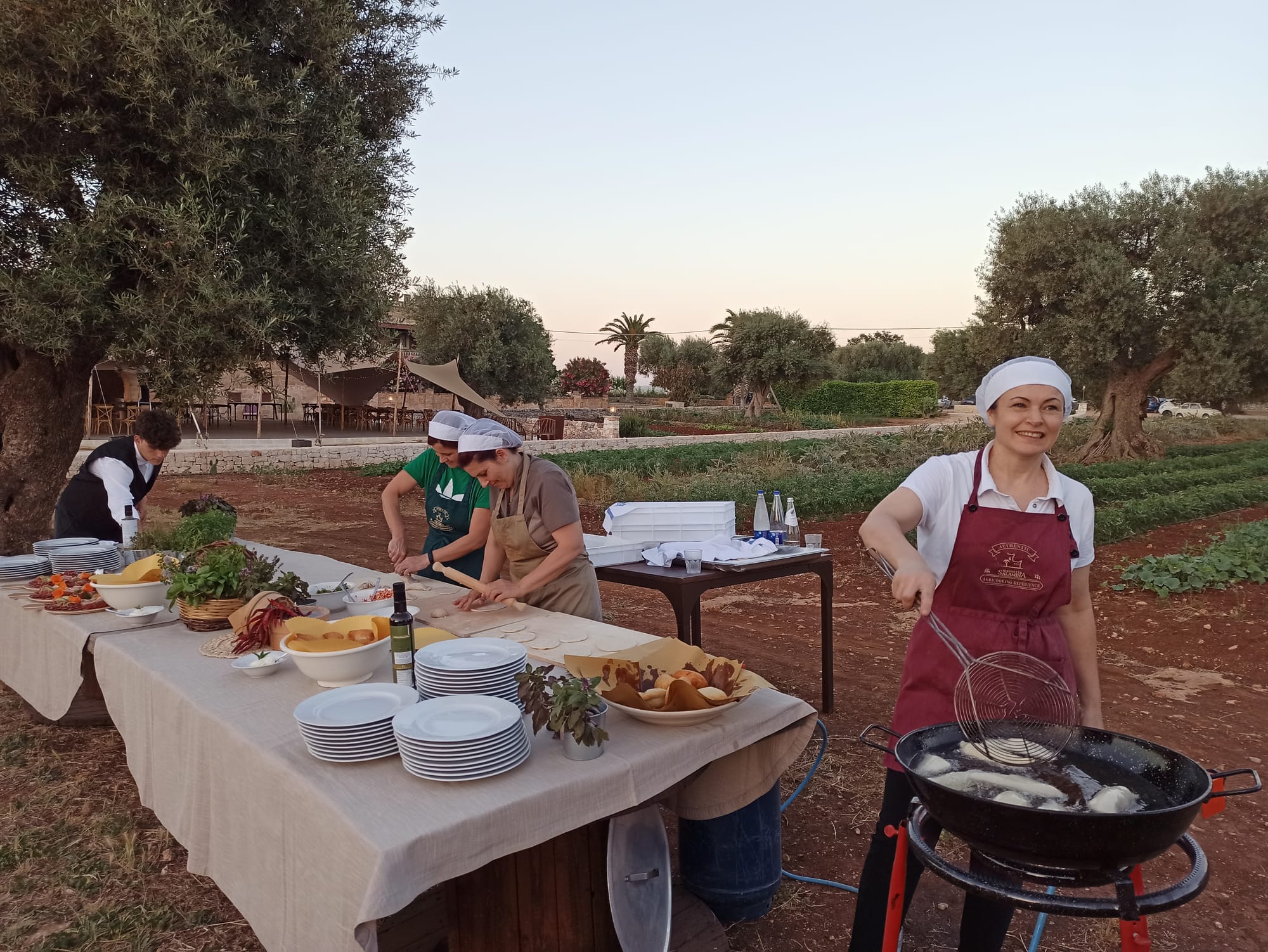 Masseria Salamina is at Pezze di Greco close to Fasano, Italy.