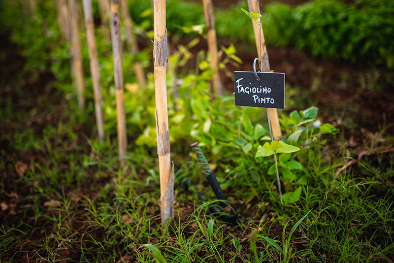  Masseria Salamina is at Pezze di Greco close to Fasano, Italy.