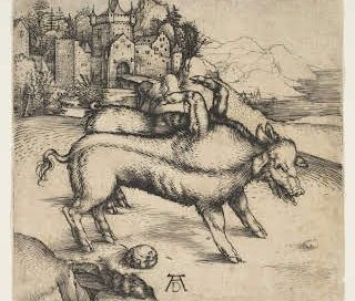 Château de Landser vu par Albrecht DURER