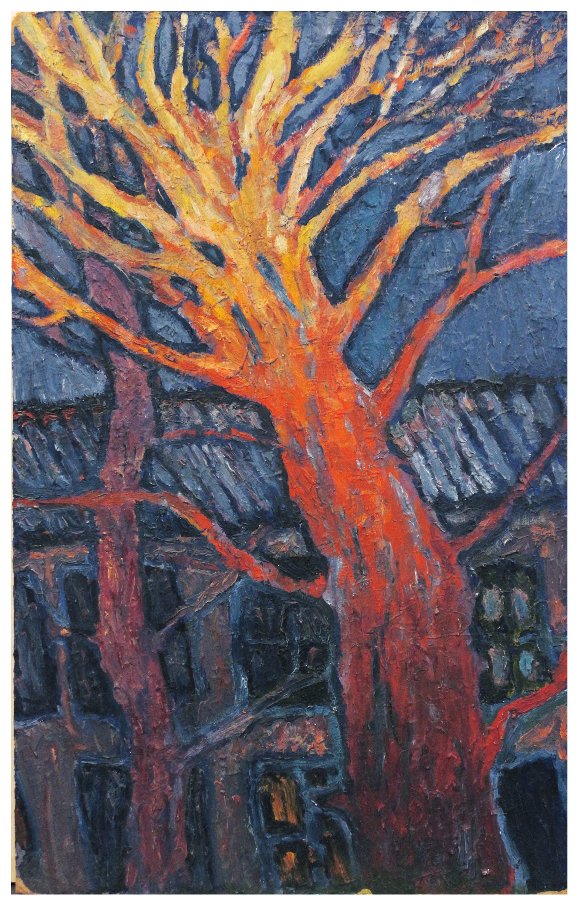 Acacia tree at night, 2001