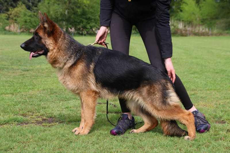 Unny vom St.-Michaels-Berg