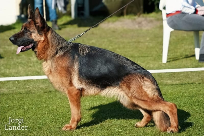 Annie vom Ölbachstrand