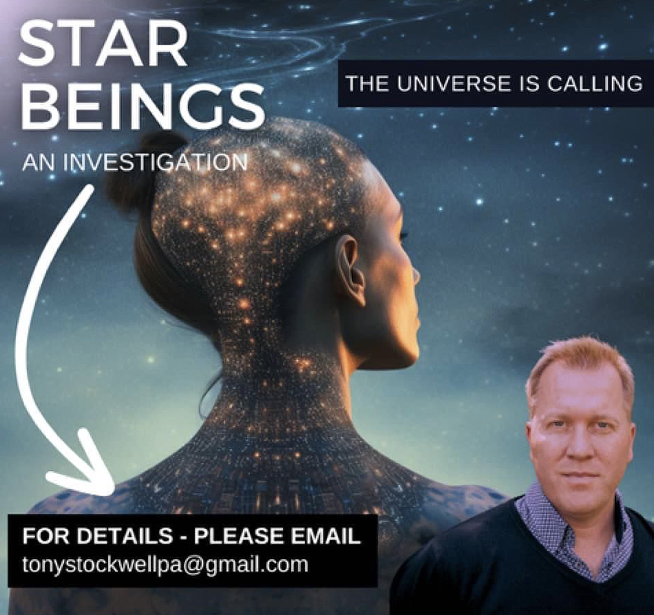 Stab Beings - An Investigation with Tony Stockwell