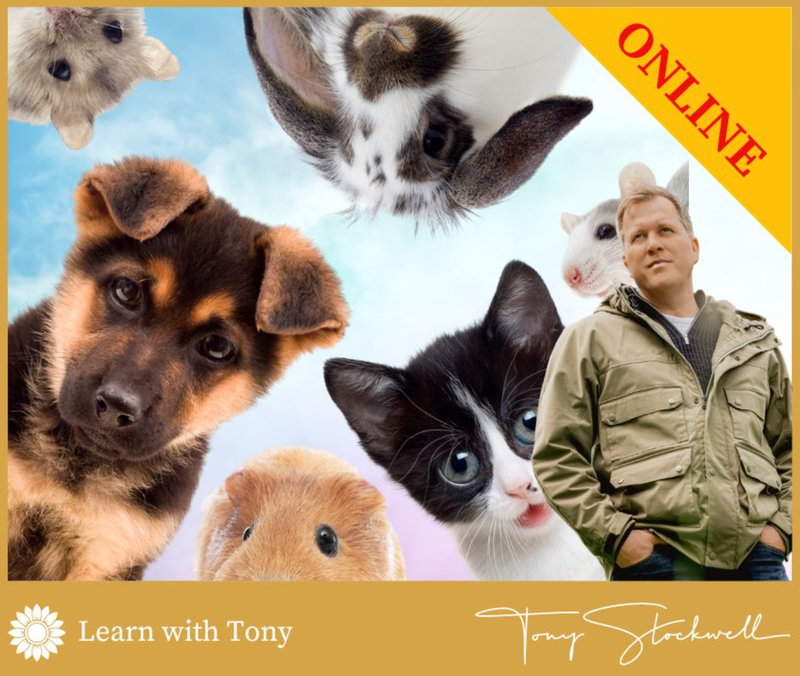 Pet Mediumship Development Circle with Tony Stockwell